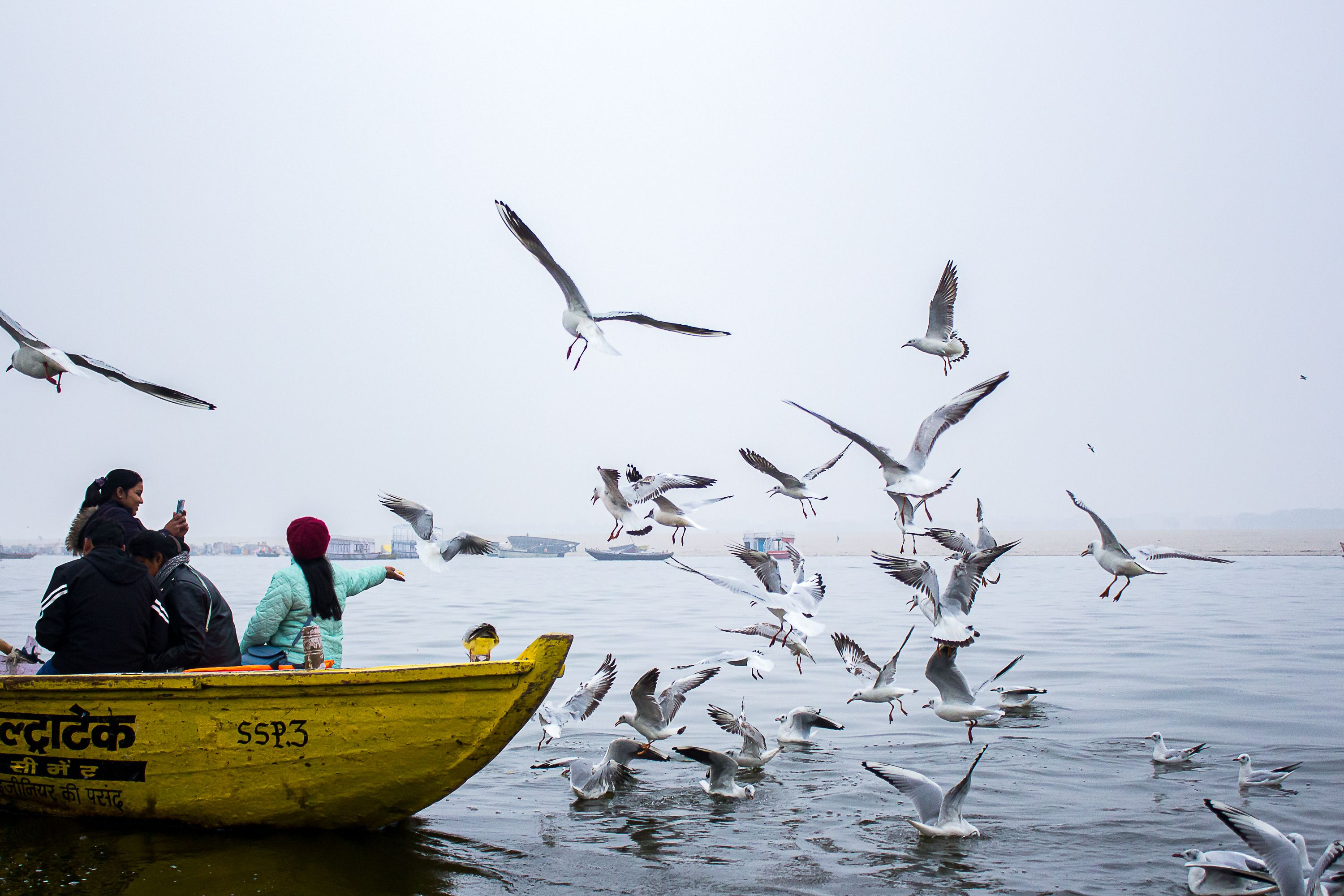Multi-Lingual Destination Experts